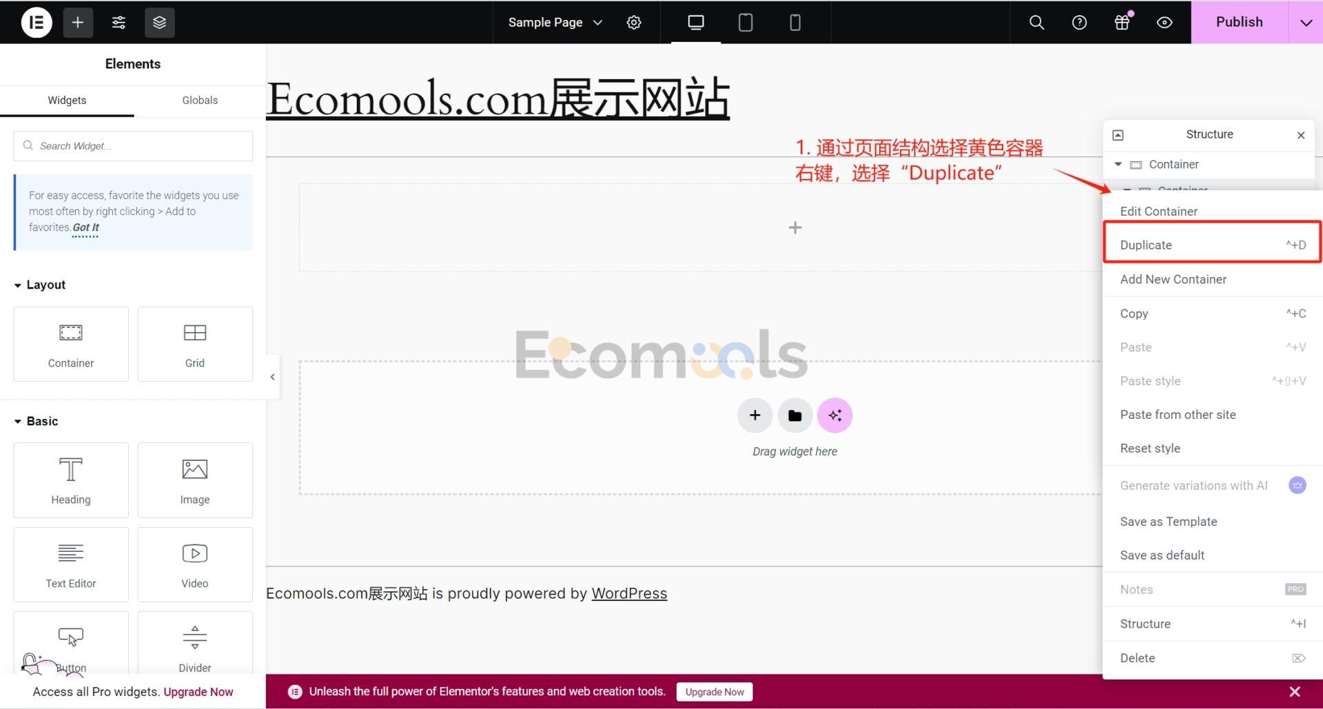 Elementor基础：Container（容器）和Layout（布局）详解
