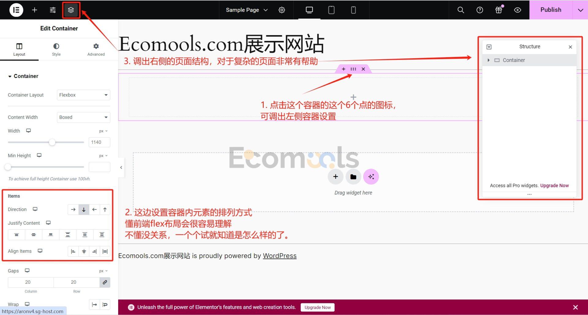 Elementor基础：Container（容器）和Layout（布局）详解